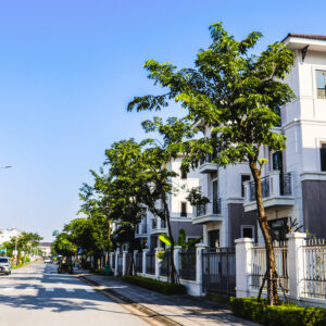 Centa City DL1.01-DL01.13
